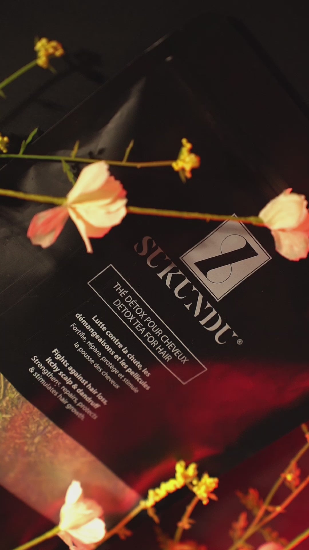 Charger la vidéo : 